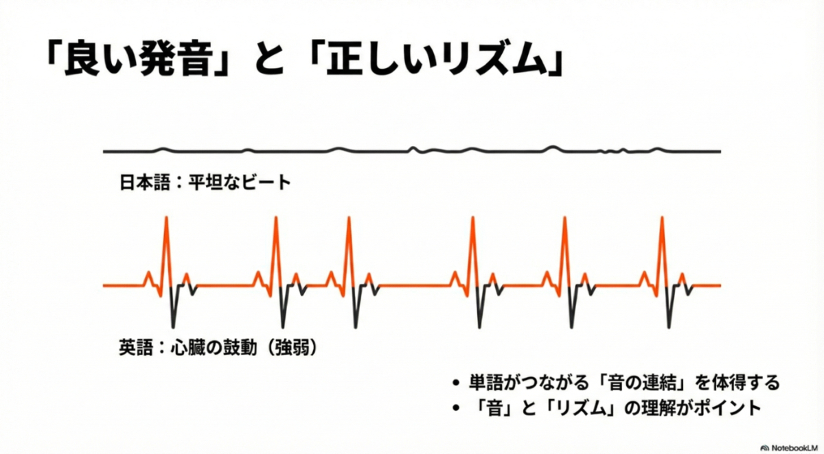 英語のストレス拍リズムを心臓の鼓動のような強弱のある波形で表現した図。「良い発音」と「正しいリズム」が重要であることを示す 。