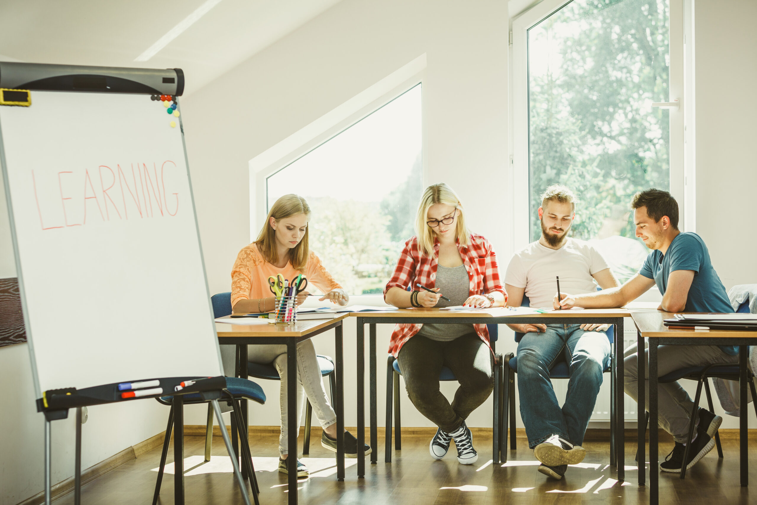 英語学習や勉強、英会話は時間の無駄なのか？語学を学ぶ意義を考察