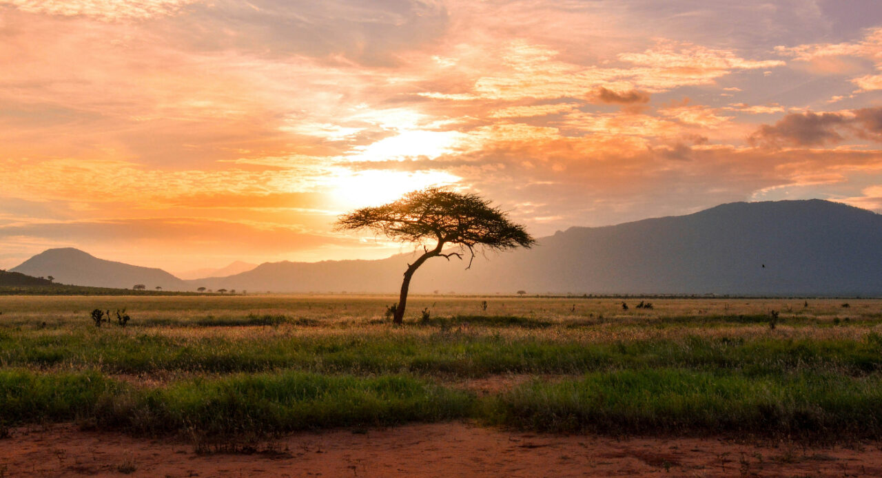 アフリカ文化の特徴を解説｜伝統と生活習慣や地域における違い