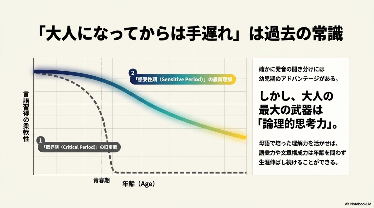 言語習得における「臨界期仮説」と「感受性期」について示すグラフ