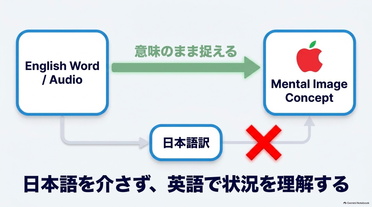 英単語や音声から直接概念やイメージを捉える英語脳の仕組み