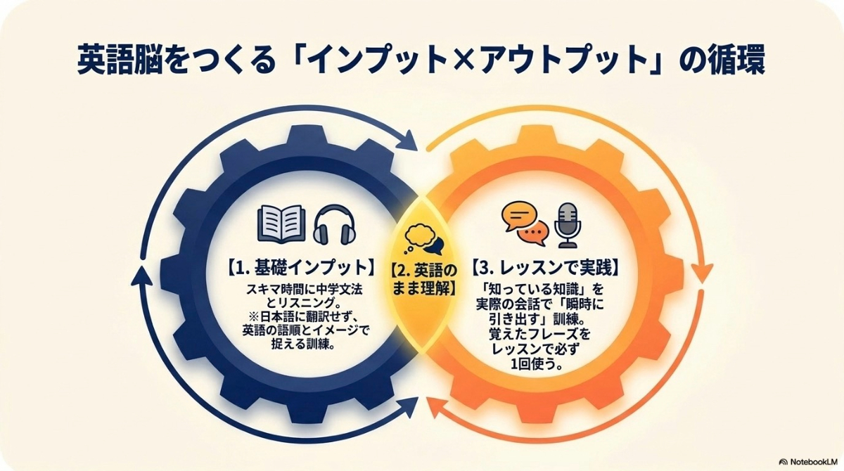 基礎インプットとレッスンでの実践アウトプットによる学習サイクル