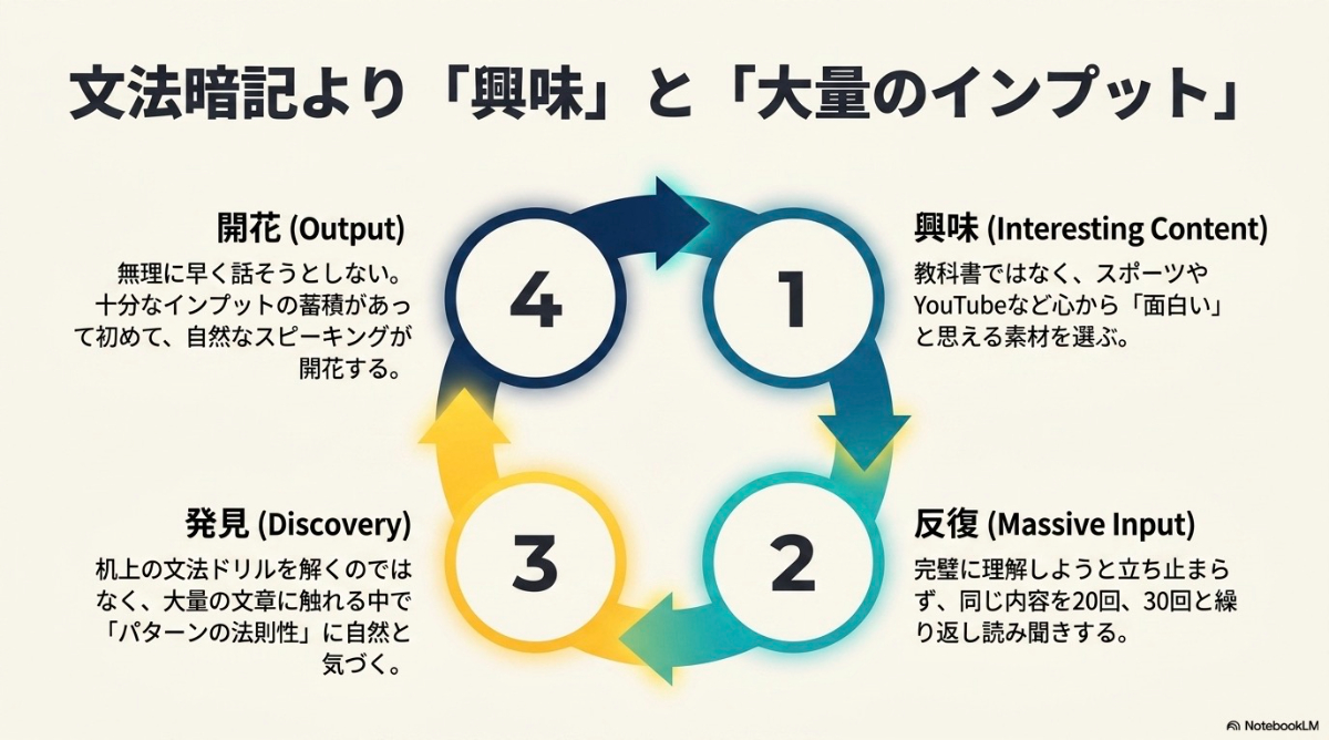 言語習得を成功させるための4つのサイクル(興味、反復、発見、開花)の図解